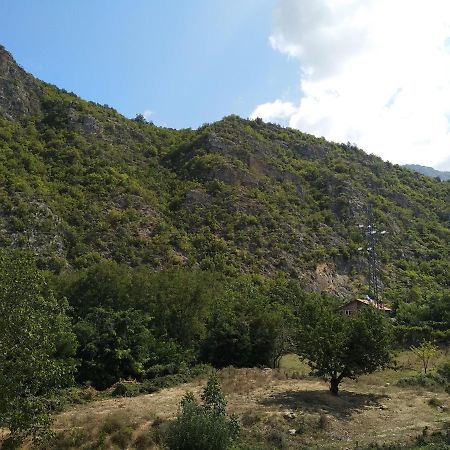 The Brothers Villa Hotel Ohrid Buitenkant foto