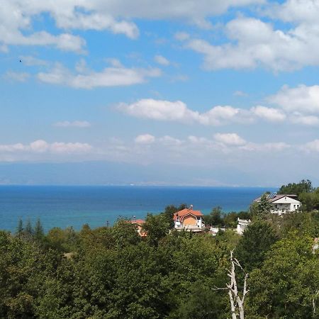 The Brothers Villa Hotel Ohrid Buitenkant foto
