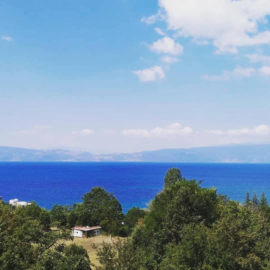The Brothers Villa Hotel Ohrid Buitenkant foto