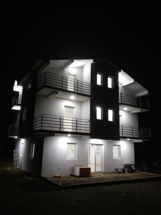 The Brothers Villa Hotel Ohrid Buitenkant foto