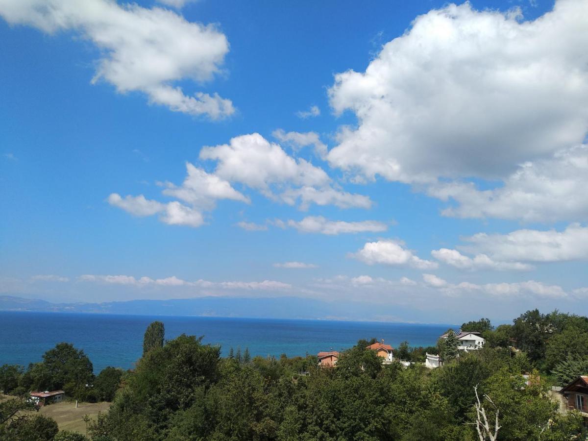 The Brothers Villa Hotel Ohrid Buitenkant foto