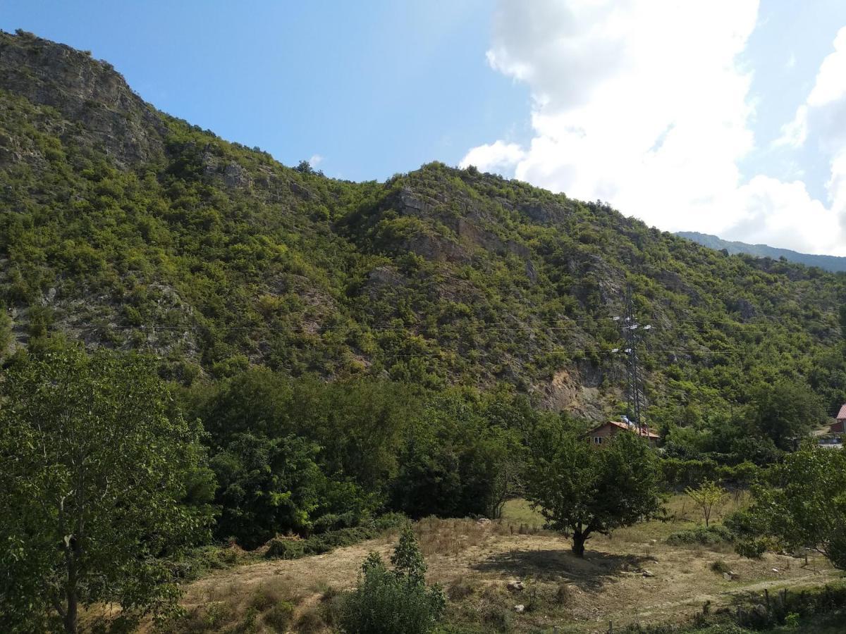 The Brothers Villa Hotel Ohrid Buitenkant foto