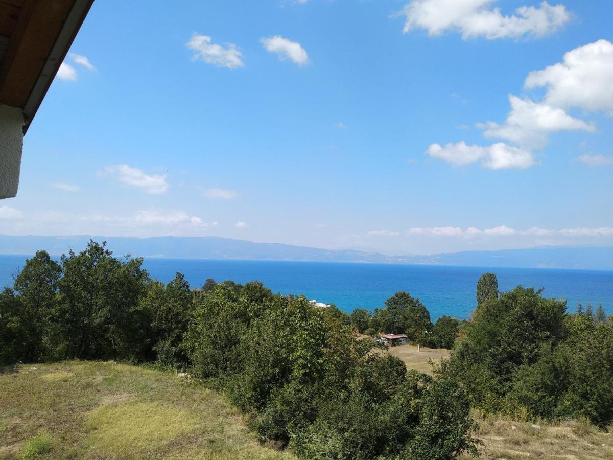 The Brothers Villa Hotel Ohrid Buitenkant foto