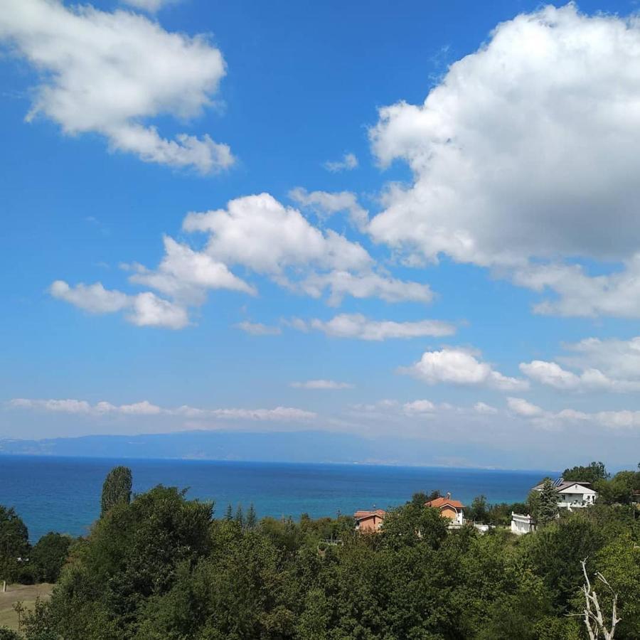 The Brothers Villa Hotel Ohrid Buitenkant foto