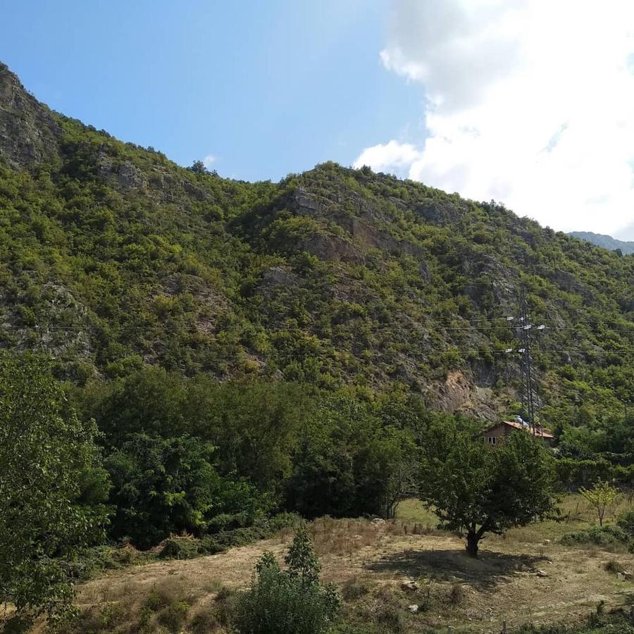 The Brothers Villa Hotel Ohrid Buitenkant foto
